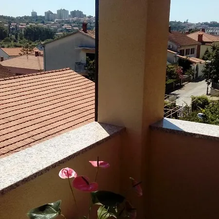 Apartamento Explore Istria 4